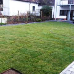 rollrasen & kunststoffrasen verlegen firma